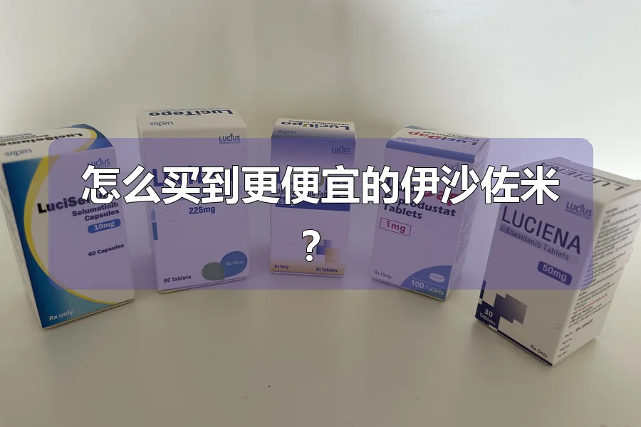 怎么买到更便宜的伊沙佐米？